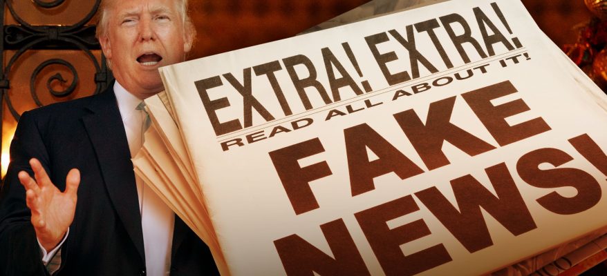 Fake news e politica