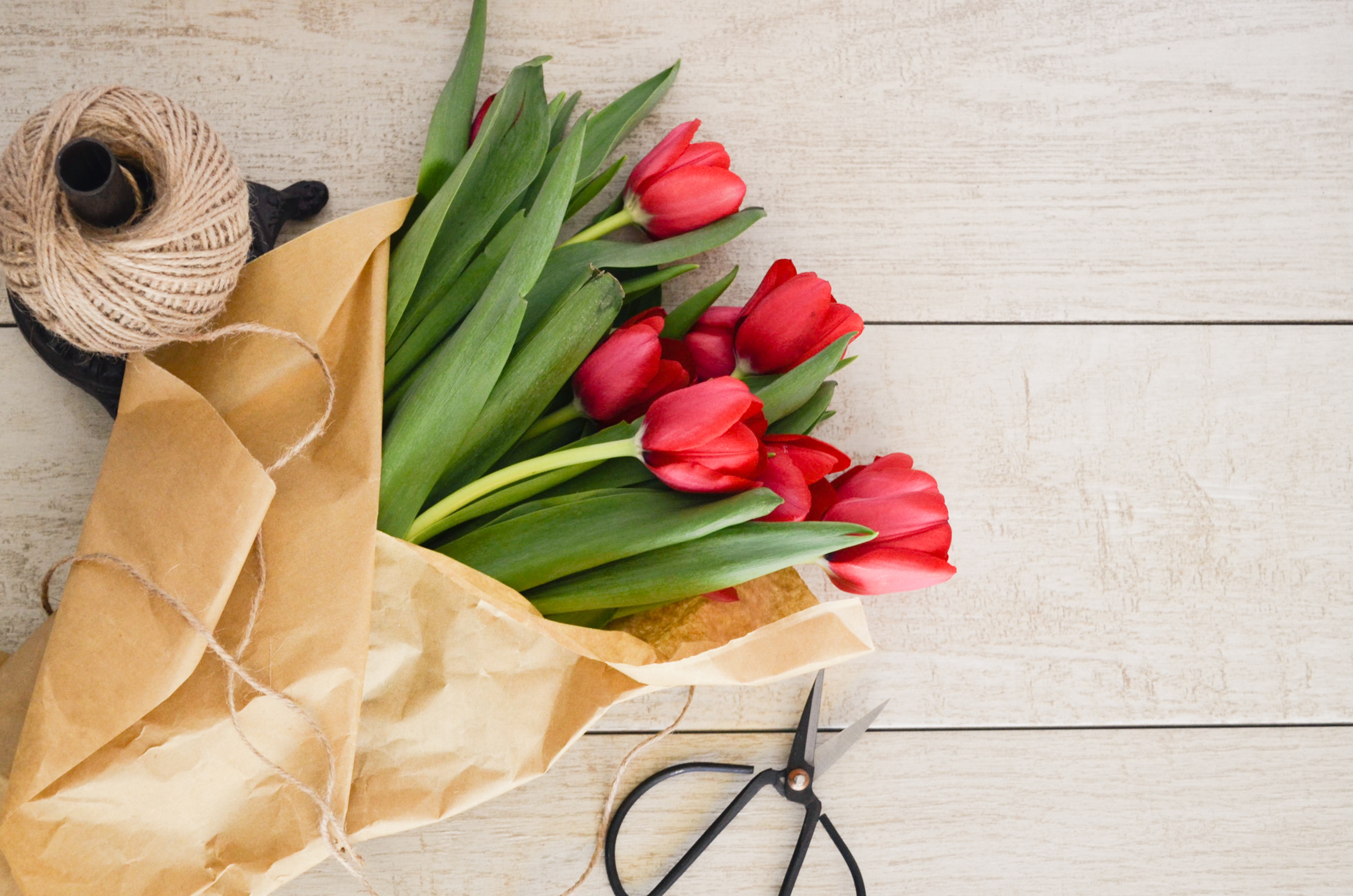 Come Scegliere Un Bouquet Di Laurea Da Regalare Ad Un Amica